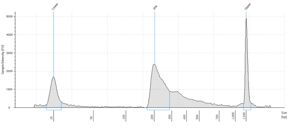 ATAC-seq library