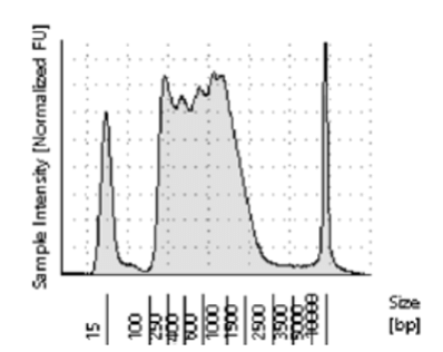 Under-tagmented ATAC-Seq library