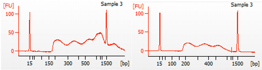 Right-sided clean-up of DNA