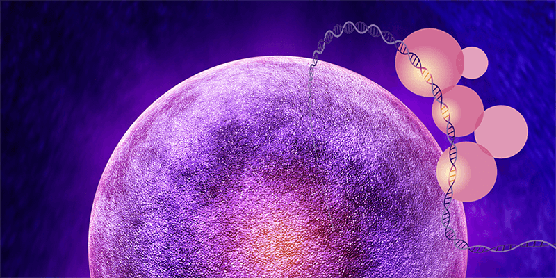 Single-Cell DNA Methylation Blog