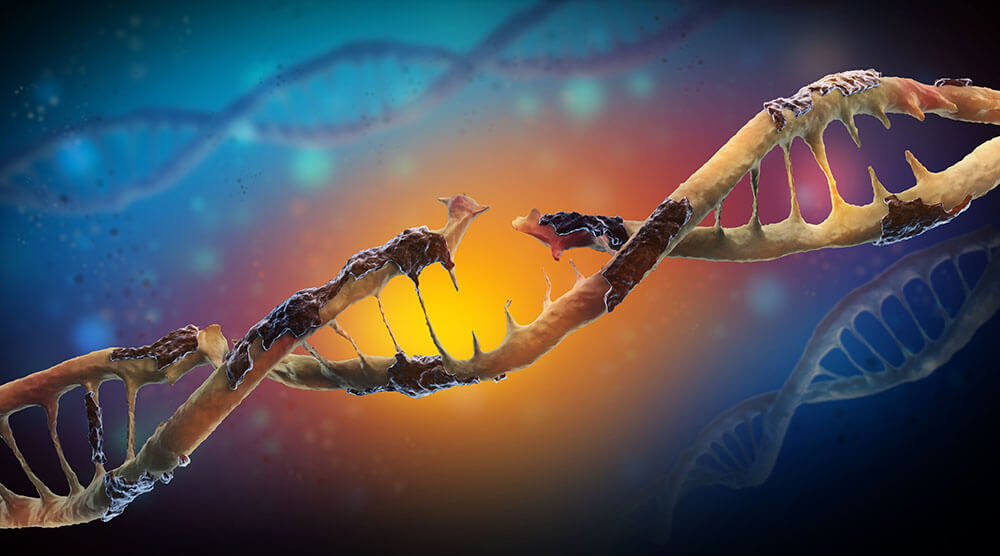 Damaged DNA