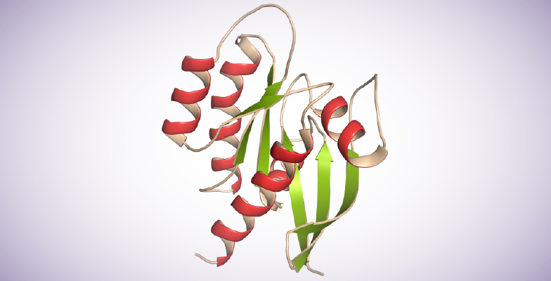 Undruggable No More – Advances for Targeting Mutant Ras Proteins and Cancer