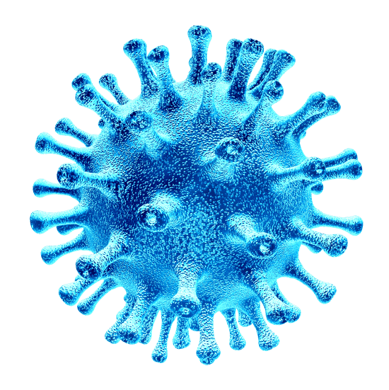 Coronavirus Resources