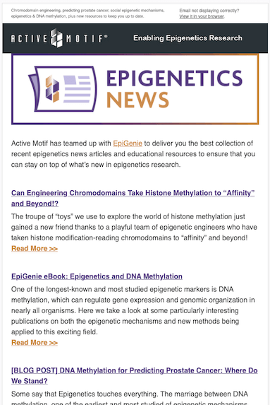 Epinews Email example