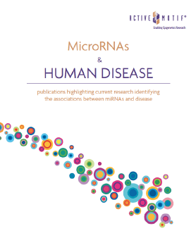LightSwitch miRNA Reference Guide