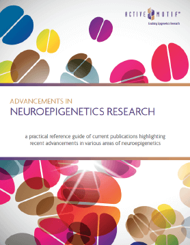 Neuroepignetics Guide