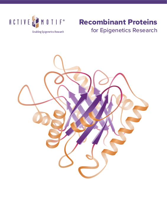Recombinant Proteins for Epigenetics Research