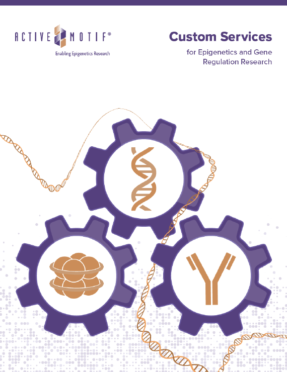 Epigenetic Services