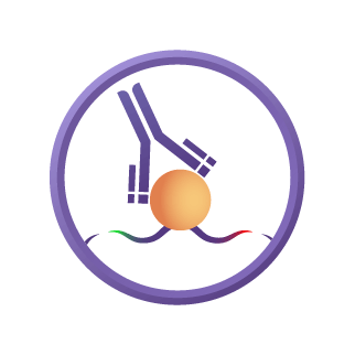 Comprehensive TIP-ChIP Solutions