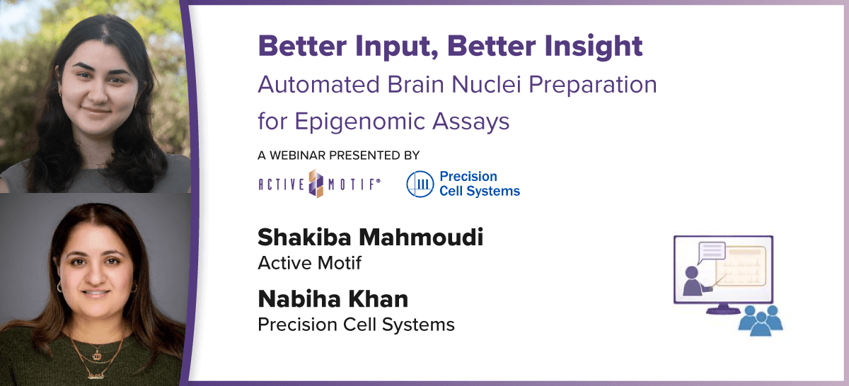 Better Input Better Insight: Automated Brain Nuclei Preparation for Epigenomic Assays