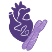 Cardio Epigenetics Chromatin Meeting