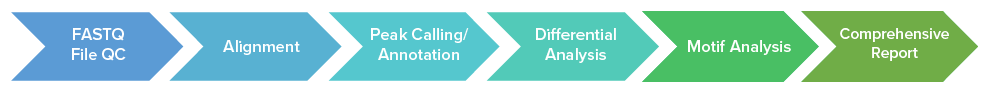Bioinformatic ChIP-Seq, CUT&Tag, ATAC-Seq Workflow