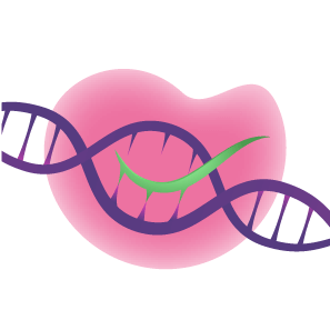 DISCOVER-Seq Service