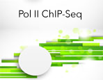 TranscriptionPath&trade; Services