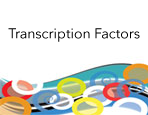 FactorPath&trade; Services