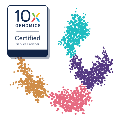 Single-Cell RNA-Seq (scRNA-Seq) Service