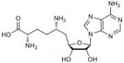 Chemical structure of Sinefungin.
