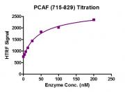 Recombinant KAT2B / PCAF (715-829) protein activity assay.
