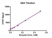 Recombinant EHMT2 (G9a) protein