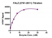 HTRF Assay for Recombinant BPTF / FALZ (2791-2911) activity.