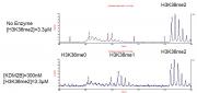 FBXL10 / KDM2B activity assay