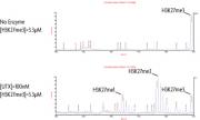 UTX / KDM6A activity assay