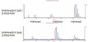 KDM1B / LSD2 activity assay