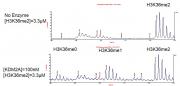 KDM2A / FBXL11 protein demethylation assay
