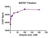 SETD7 protein HTRF activity assay