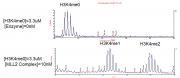 Recombinant KMT2D (MLL2) complex MALDI-TOF activity assay