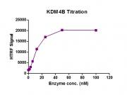 JMJD2B / KDM4B protein HTRF activity assay
