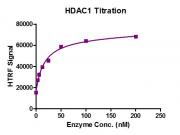 Recombinant HDAC1 protein activity assay