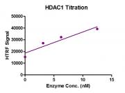Recombinant HDAC1 protein activity assay