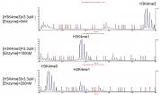 MALDI-TOF for JARID1B / KDM5B (2-751) activity