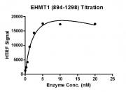 HTRF assay for EHMT1 (894-1298) activity