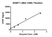 HTRF assay for EHMT1 (894-1298) activity