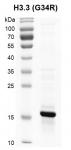 Recombinant Histone H3.3 (G34R) gel.