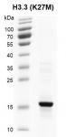 Recombinant Histone H3.3 (K27M) gel.