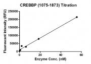 Recombinant CREBBP (1075-1873) protein activity assay.