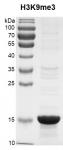 Recombinant Histone H3K9me3 (MLA) protein gel.