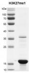 Recombinant Histone H3K27me1 (MLA) protein gel.