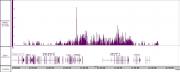 Histone H3 di/trimethyl antibody (mAb) tested by CUT&Tag.