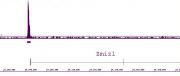 LXR-α antibody (pAb) tested by ChIP-chip.