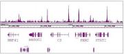 RBBP5 antibody (pAb) tested by ChIP-Seq.