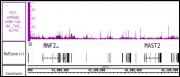 Tet1 antibody (mAb) tested by ChIP-Seq.