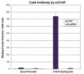 Cas9 antibody (mAb) tested by enChIP.