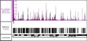 YY1 antibody (pAb) tested by ChIP-Seq.