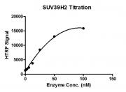 HTRF assay for SUV39H2 activity.
