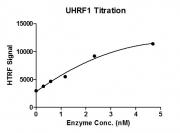 Recombinant UHRF1 protein