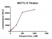 METTL14 activity assay